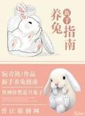 新手养兔需要准备什么