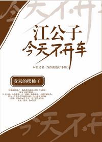 江公子今天不开车内容简介