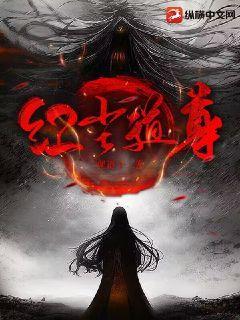 红尘道讲了什么