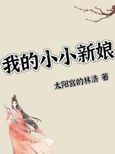 我的小小新娘解析