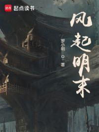 风起明末3Q中文网