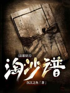 盗墓疑云