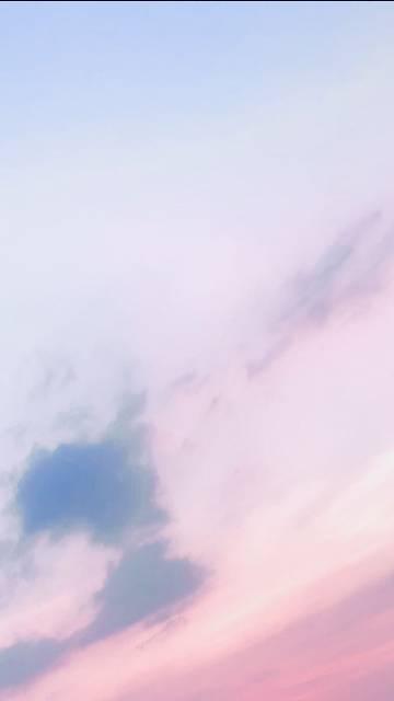 玫瑰雾花