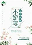 七十年代小娇妻古穿今