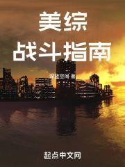 美综战斗指南 在线阅读