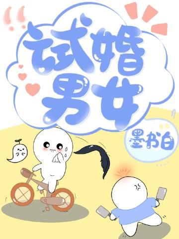 试婚什么意思啊