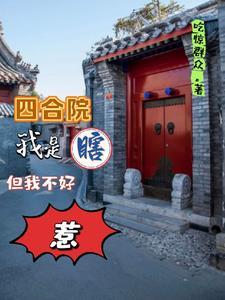 四合院我傻柱开局点满所以技能