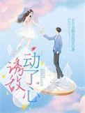诱敌全文免费阅读