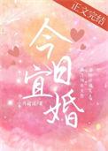 今日宜婚2免费全集