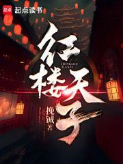 红楼全天庭都在围观老子谈恋爱