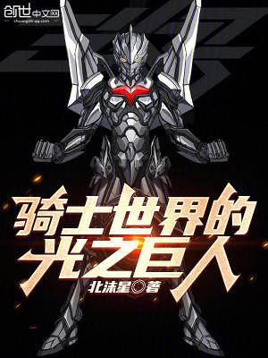 光之骑士2.0