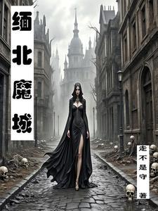 缅北老街最大赌场