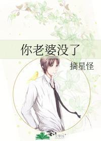 你老婆没了南辿星笔趣阁