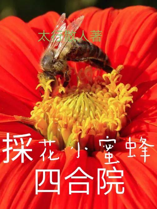 采花小蜜蜂原唱播放