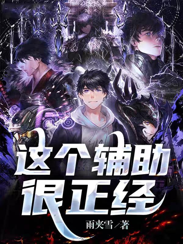 这个辅助很正经全文免费