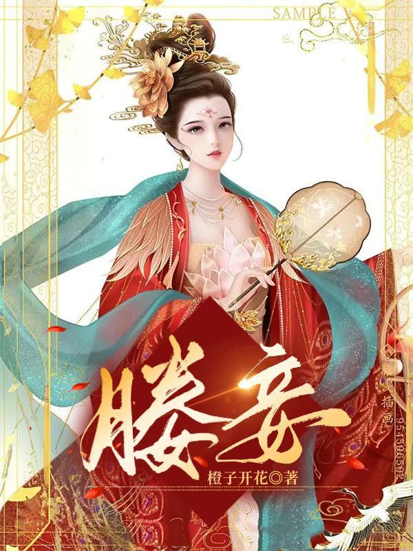 媵妾什么意思