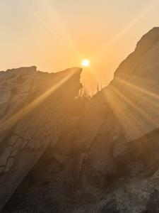 曙光任务怎么做