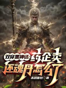 双黑穿越推荐
