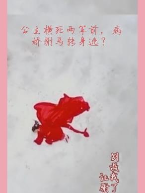 公主被的驸马杀死重生的