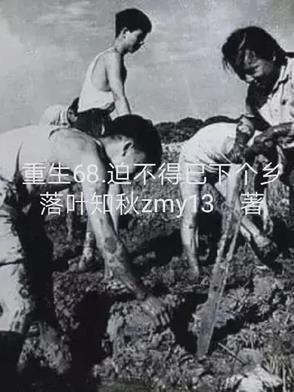 迫不得已下个乡正版免费读