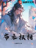 布衣权相免费观看
