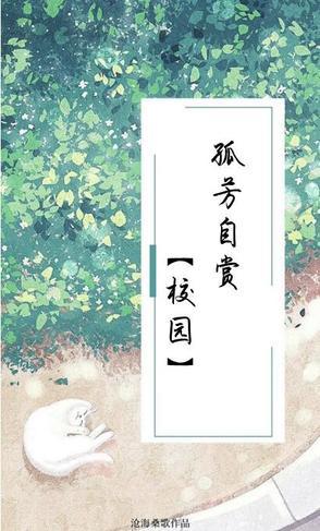 孤芳自赏全文