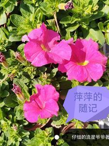 萍萍老师的生活日记百家号