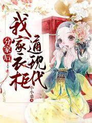 分家后我家衣柜通现代32集