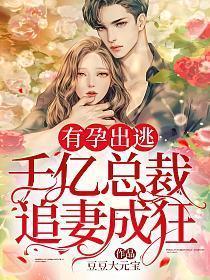 有孕出逃千亿总裁追妻成狂著