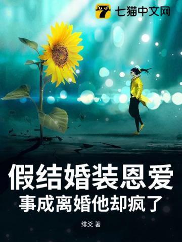 假装婚姻