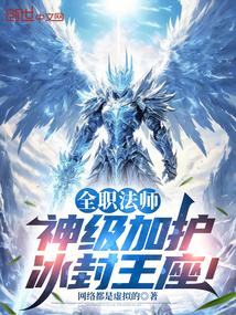 全职法师圣级