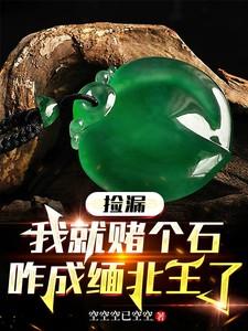 捡漏我就赌个石咋成缅北王了作者空空己空空