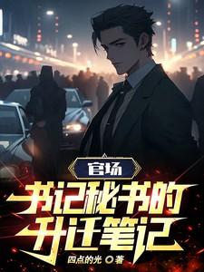官场之省委书记