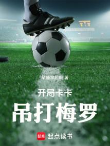开局卡卡吊打梅罗免费无错