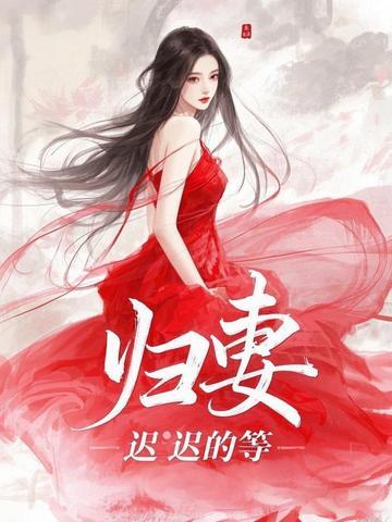 归妻by姓刘水水讲的什么