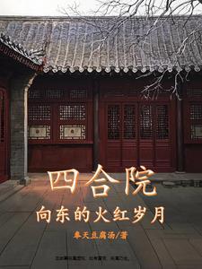 四合院火红的岁月笔趣阁