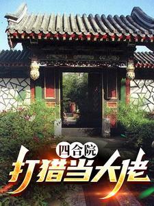 四合院当总捕头