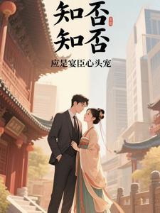 知否知否应是什么