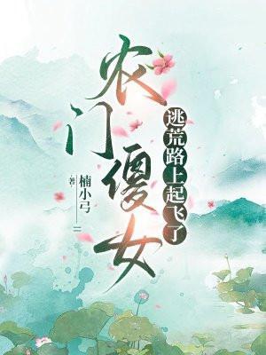农门傻妃