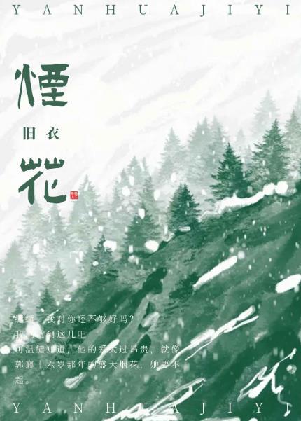 烟花蔡国强的个人资料简介