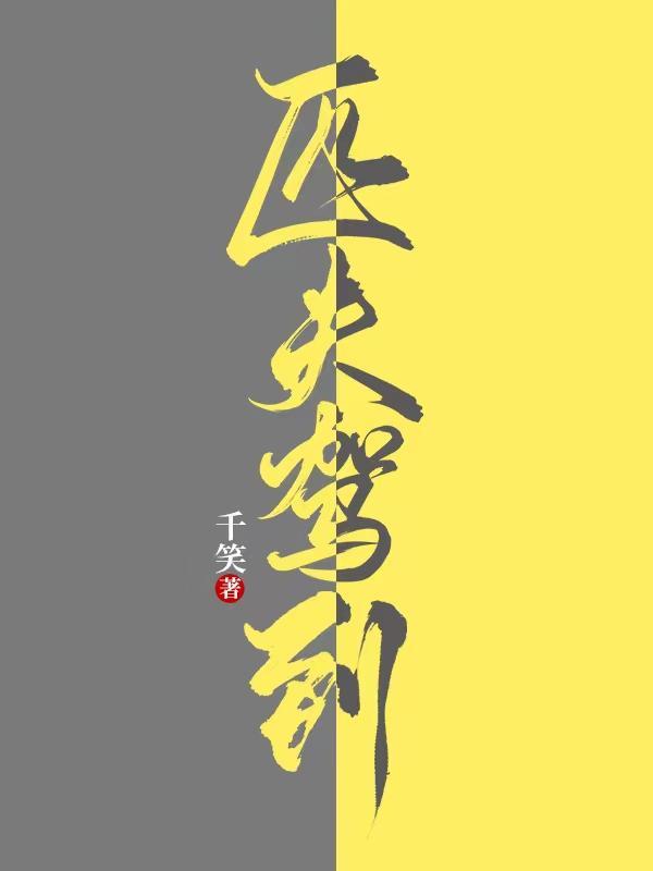 匹夫驾到中老武的身份