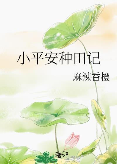 小平安种田记22麻辣香橙