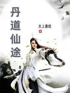 丹道仙途作者太上道经