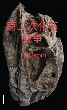 战争雷霆化石爆反