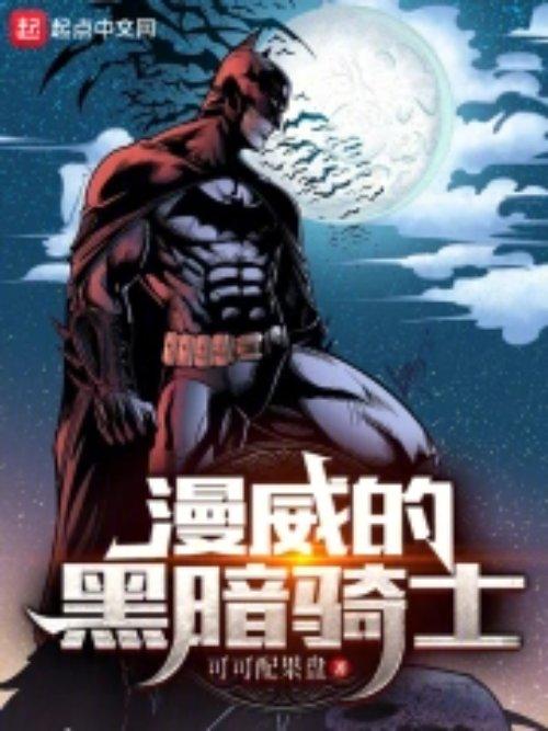 黑暗骑士是哪个动画片