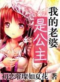 我的老婆是公主修改版