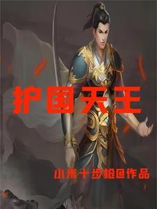 北境天王萧龙免费阅读