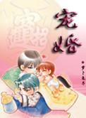 宠婚全文无删减免费宝书网