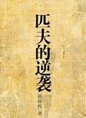 匹夫的逆袭沈弘毅结局