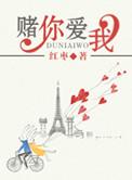 我赌你爱我可是我却输了